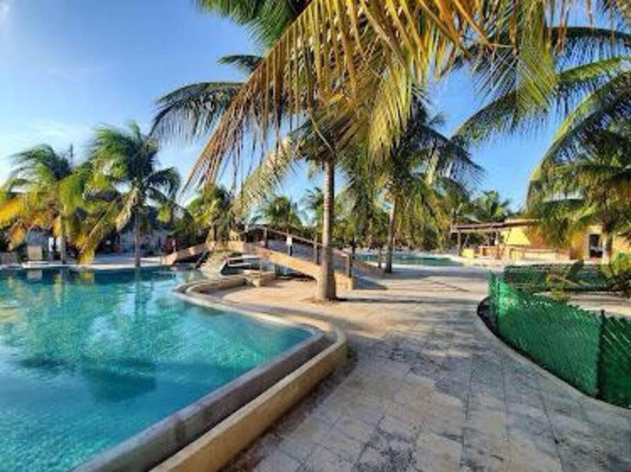 Beachfront Apartment With Swimming Pool. One Bedroom Celestun Exterior foto