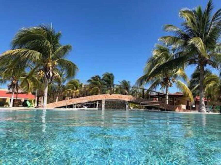 Beachfront Apartment With Swimming Pool. One Bedroom Celestun Exterior foto