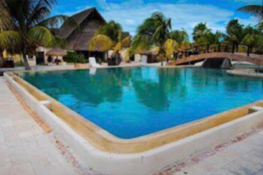 Beachfront Apartment With Swimming Pool. One Bedroom Celestun Exterior foto