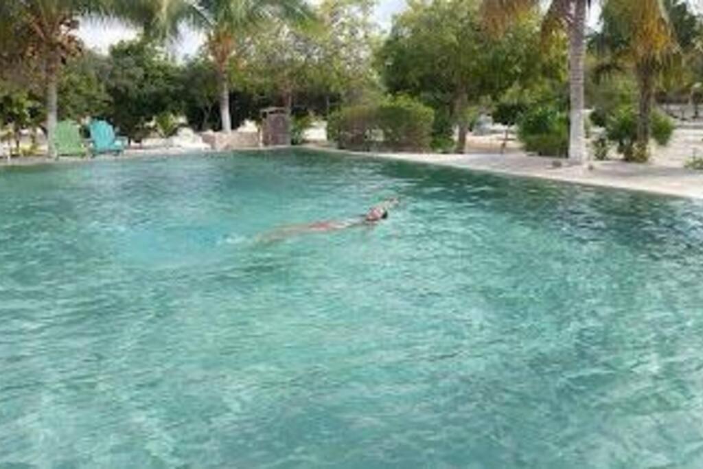 Beachfront Apartment With Swimming Pool. One Bedroom Celestun Exterior foto